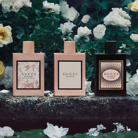 mens gucci bloom|Gucci Bloom vs intense.